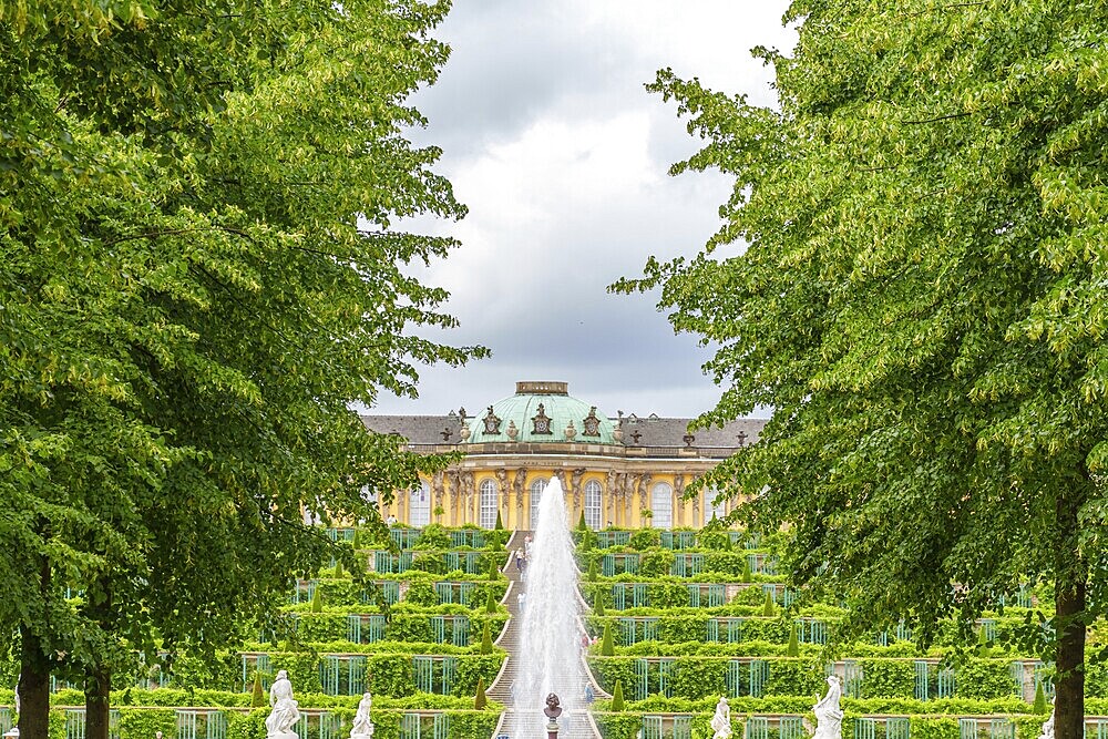 Garden with fountain, symmetrical steps and a castle in the background surrounded by lush greenery, potsdam, brandenburg, germany