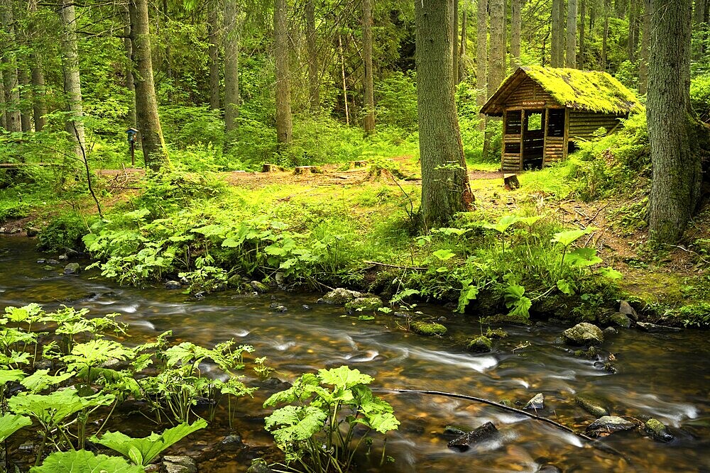 The Rötenbachschluchthütte in the forest, with moss on the roof. In front of it the Rötenbach with long exposure. Rötenbach gorge, Upper Black Forest, Baden-Württemberg, Germany