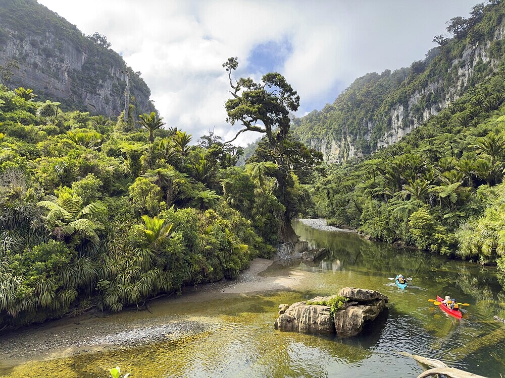 Paddle boats on the Pororari River Track, Paparoa National Park, South Island, New Zealand, Oceania