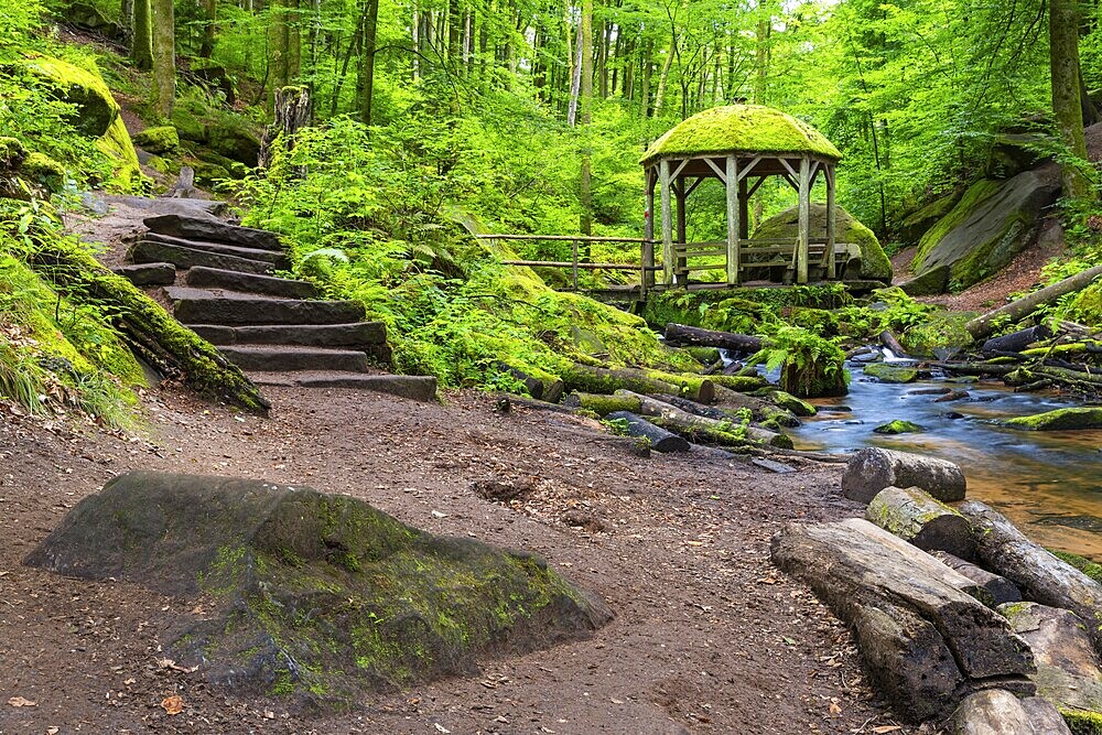 Stream, stone steps, pavilion, Karlstal Gorge, Trippstadt, Pfläzerwald, Rhineland-Palatinate, Germany