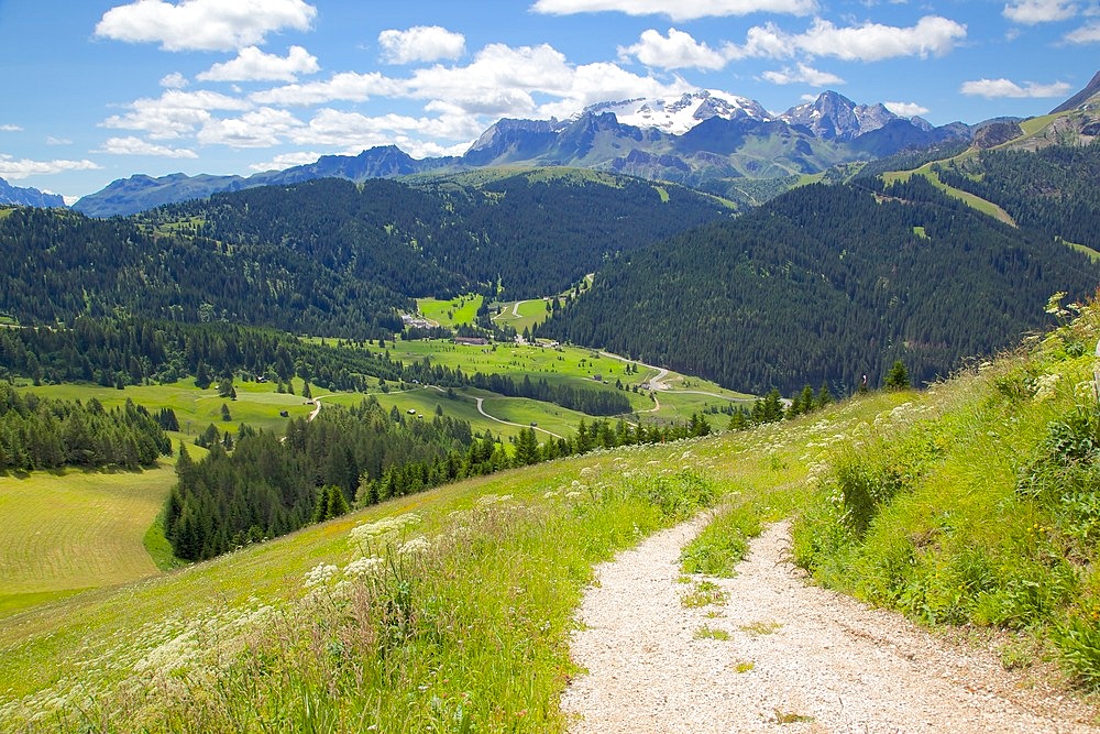 View from Col Alto, Corvara, Badia Valley, Bolzano Province, Trentino-Alto Adige/South Tyrol, Italian Dolomites, Italy, Europe