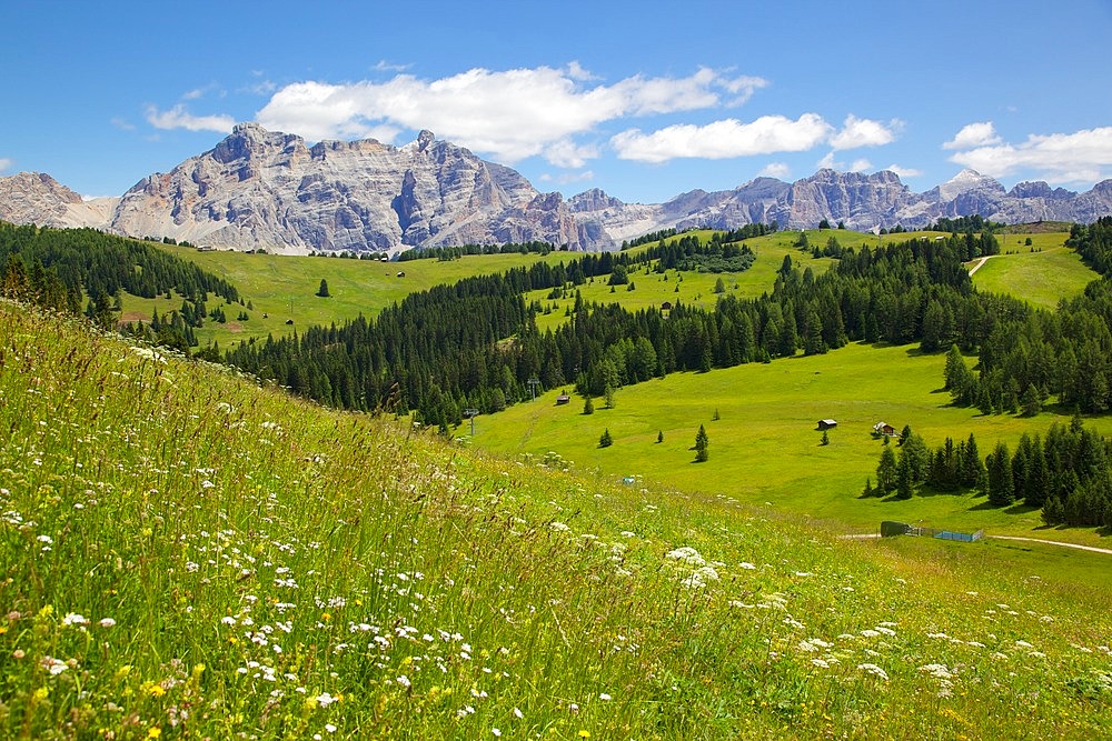 View from Col Alto, Corvara, Badia Valley, Bolzano Province, Trentino-Alto Adige/South Tyrol, Italian Dolomites, Italy, Europe