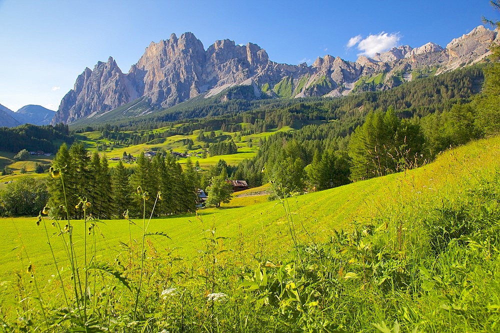 Passo Tre Croci, Belluno Province, Veneto, Italian Dolomites, Italy, Europe