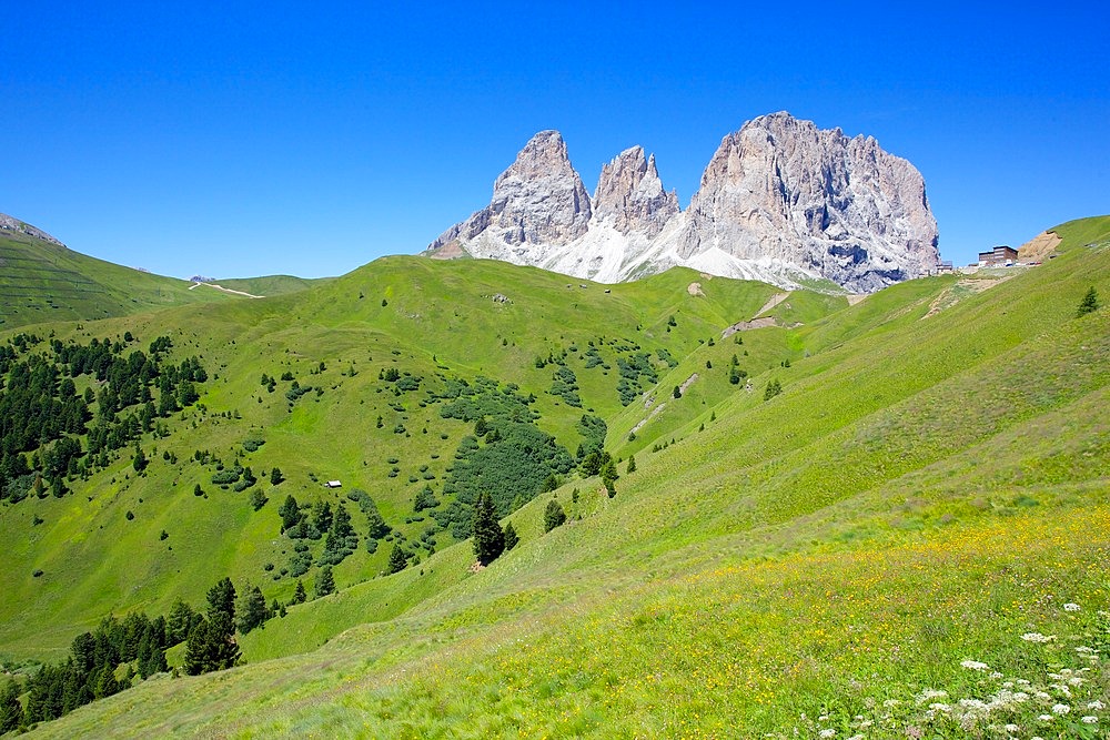 Sassolungo Group, Sella Pass, Trento and Bolzano Provinces, Italian Dolomites, Italy, Europe