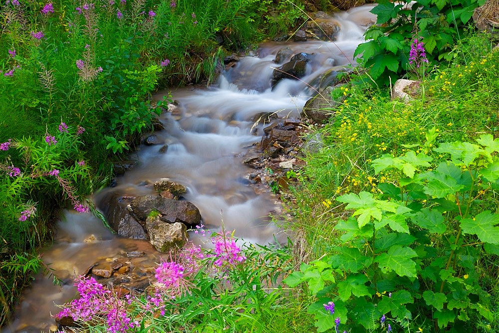 Stream, Vigo di Fassa, Fassa Valley, Trento Province, Trentino-Alto Adige/South Tyrol, Italian Dolomites, Italy, Europe