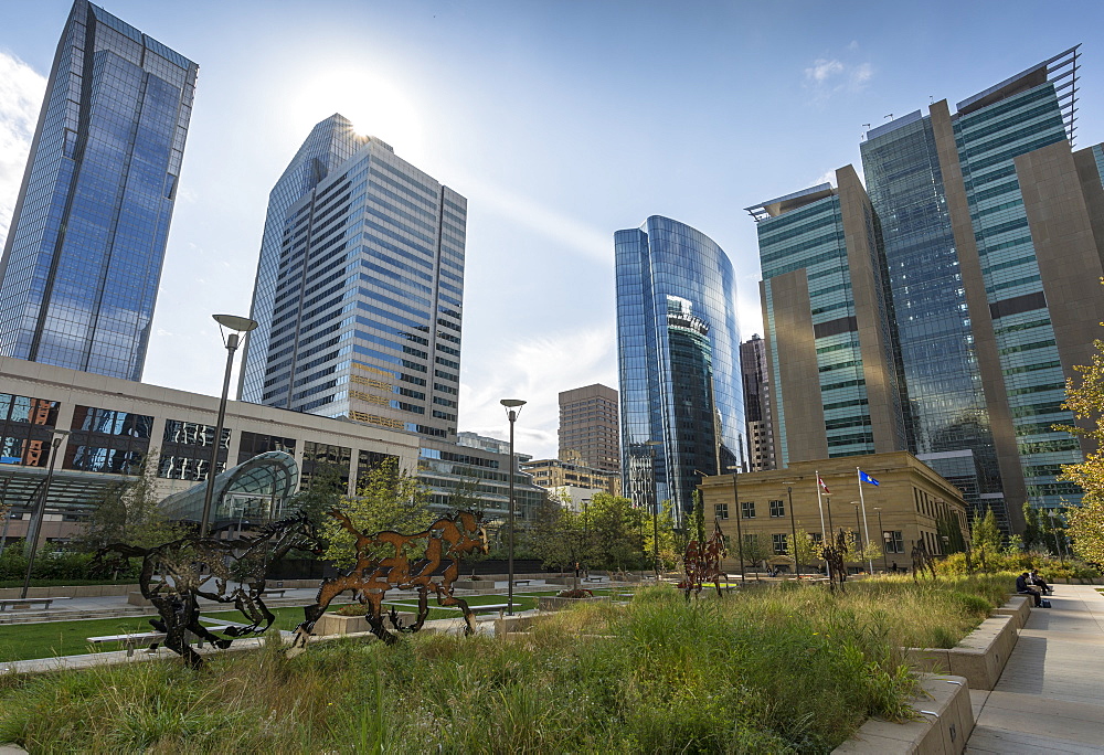 View of the Courthouse in Courthouse Park and surrounding urban office buildings, Downtown Calgary, Alberta, Canada, North America