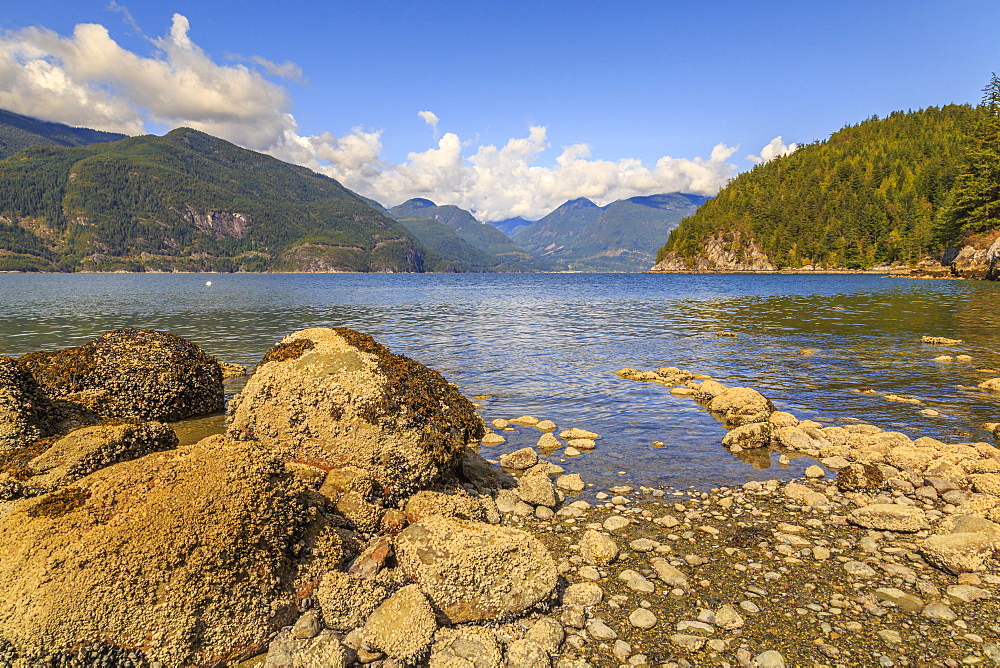 How Sound from Furry Creek off The Sea to Sky Highway near Squamish, British Columbia, Canada, North America