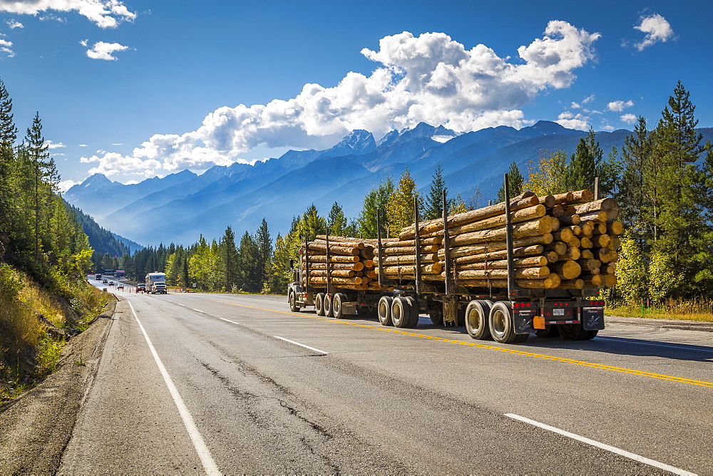 Timber laden Freightliner travelling on the Trans Canada Highway in Glacier National Park, British Columbia, Canada, North America