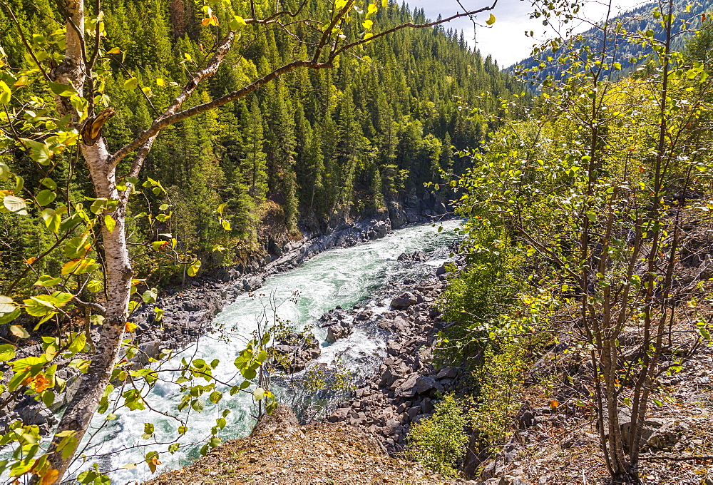 View of white rapids on Clearwater River near Clearwater, British Columbia, Canada, North America