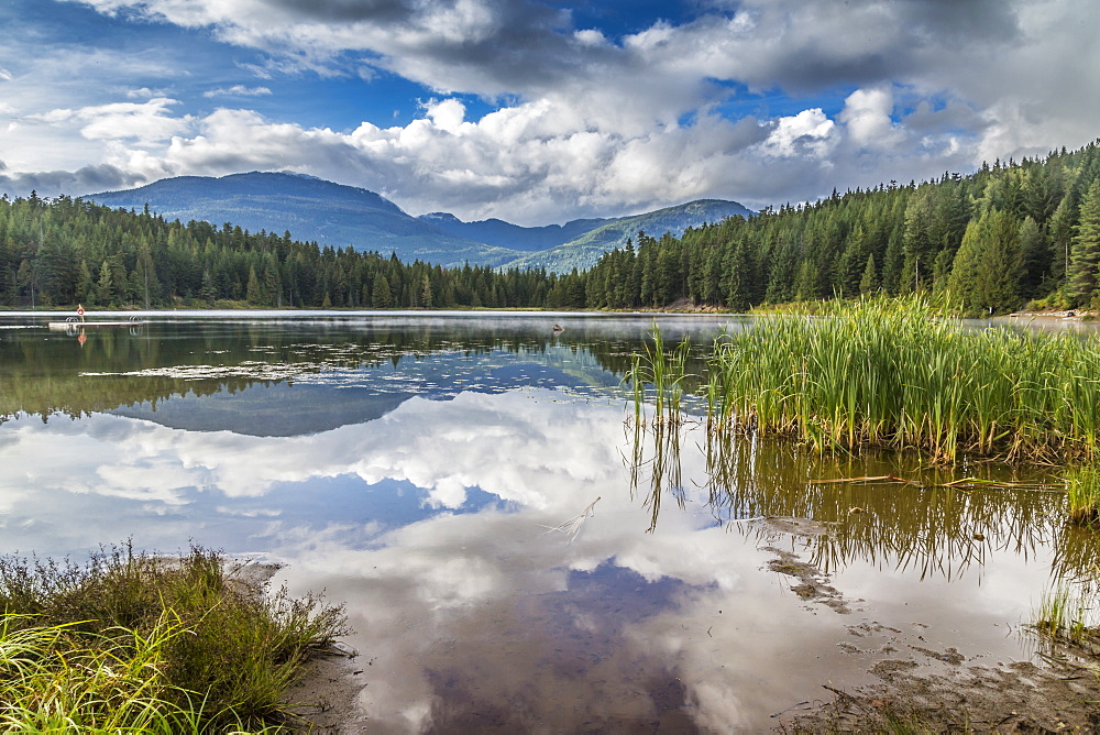 Mist on Lost Lake, Ski Hill and surrounding forest, Whistler, British Columbia, Canada, North America