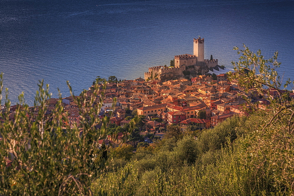 Elevated view of  Castello Scaligero (Scaliger Castle), Malcesine, Lake Garda, Veneto, Italian Lakes, Italy, Europe