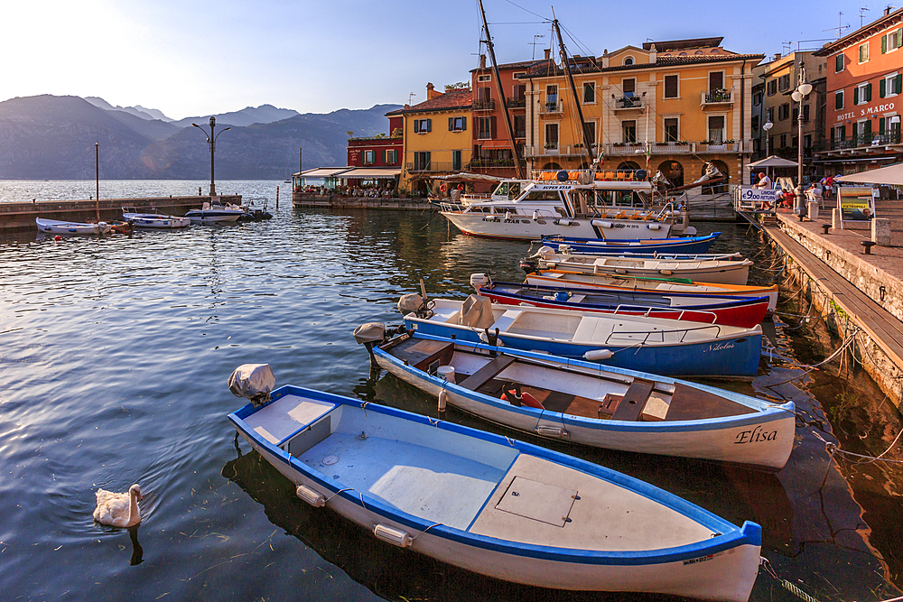 View of boats in Malcesine Harbour by the Lake, Malcesine, Lake Garda, Veneto, Italian Lakes, Italy, Europe