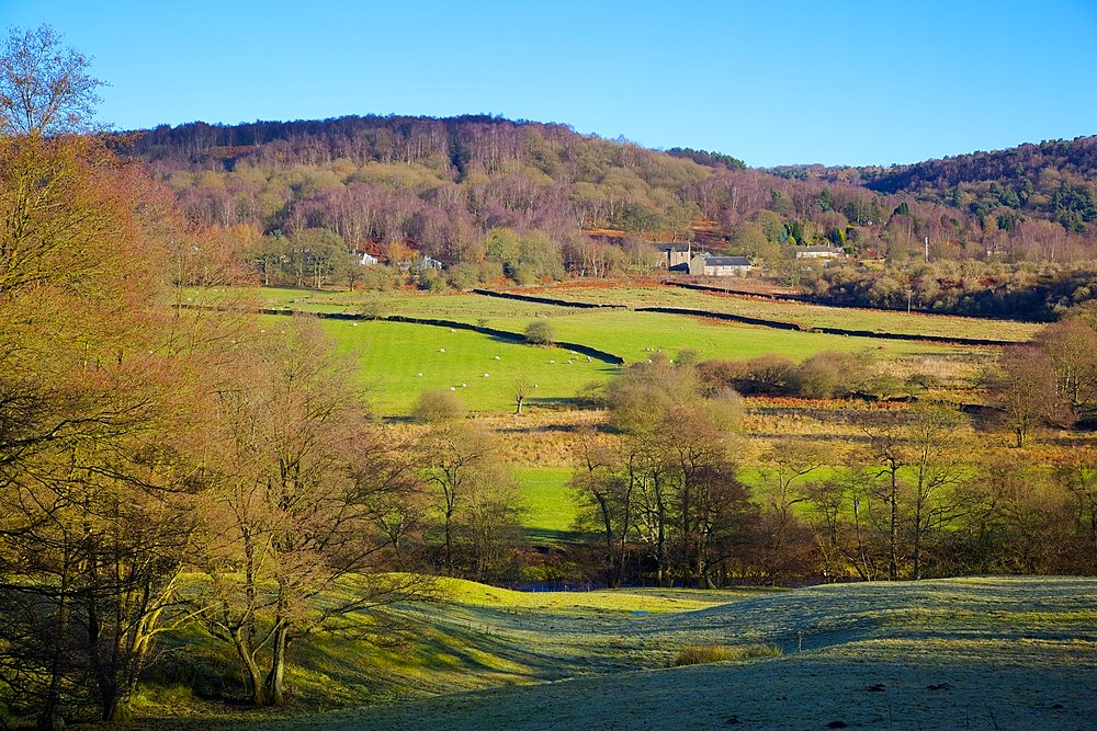 Farm near Grindleford, Peak District National Park, Derbyshire, England, United Kingdom, Europe