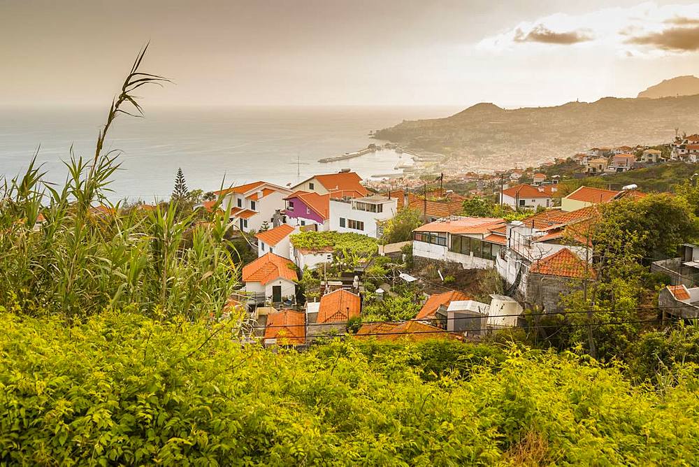 View over harbour and old town of Funchal viewed from elevated position, Funchal, Madeira, Portugal, Atlantic, Europe