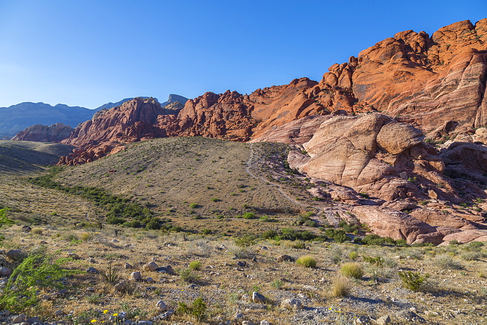 View of rock formations and flora in Red Rock Canyon National Recreation Area, Las Vegas, Nevada, United States of America, North America