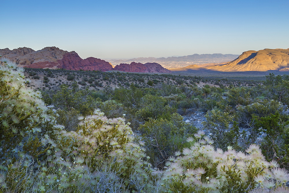 View of rock formations and flora in Red Rock Canyon National Recreation Area, Las Vegas, Nevada, United States of America, North America