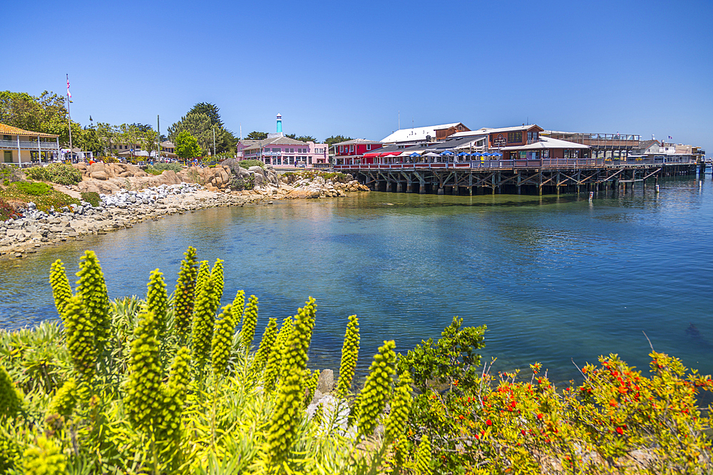 Fisherman's Wharf, Monterey Bay, Peninsula, Monterey, Pacific Ocean, California, United States of America, North America