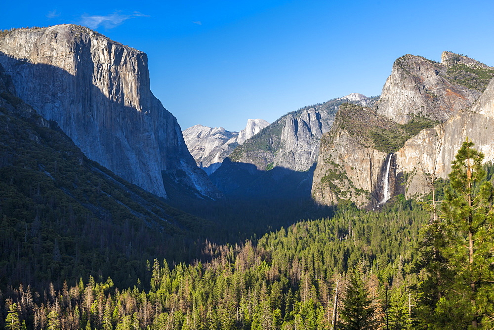 Yosemite Valley and Bridalveil Fall from Tunnel View, Yosemite National Park, UNESCO World Heritage Site, California, United States of America, North America