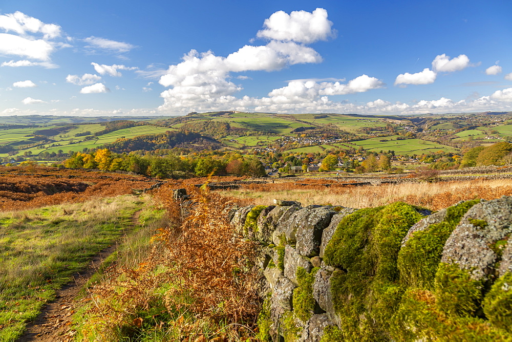 Stone wall through field by Calver in Peak District National Park, England, Europe