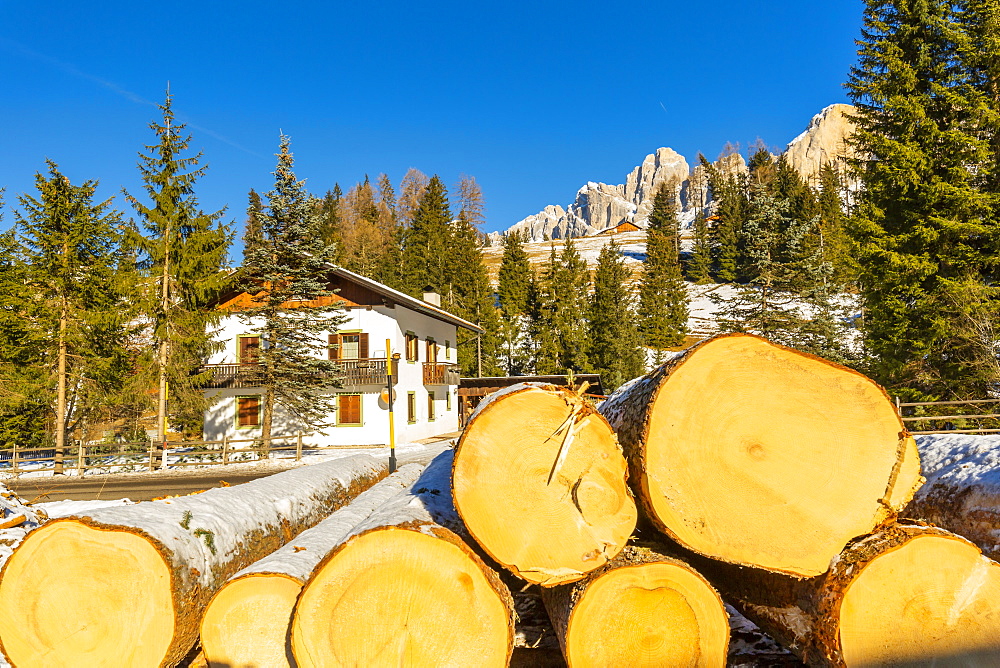 Logs by house in snow in Carezza, Italy, Europe