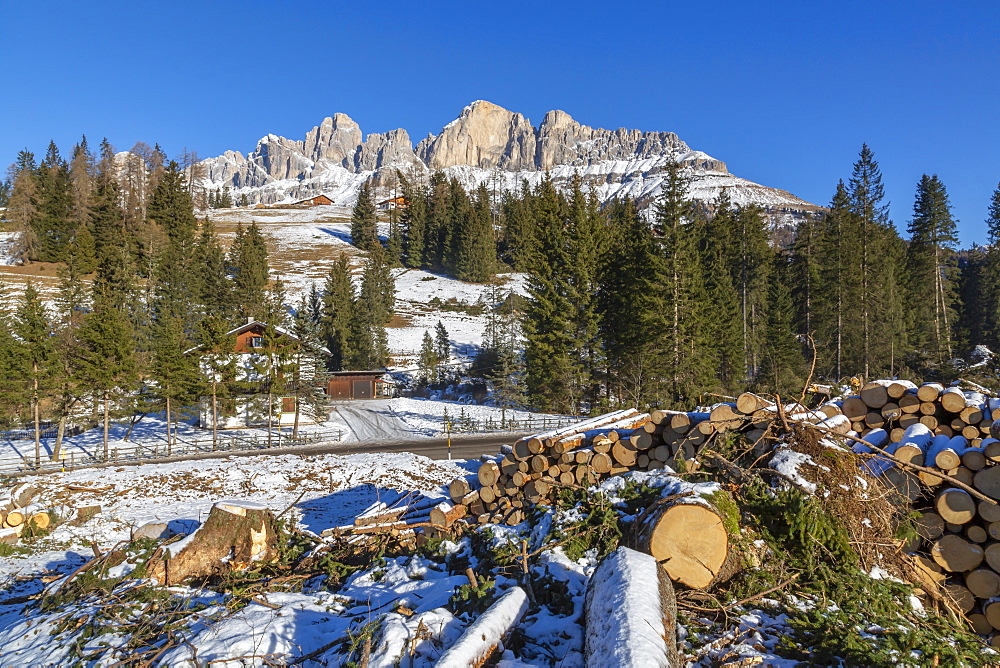 Logs by mountains in winter in Carezza, Italy, Europe