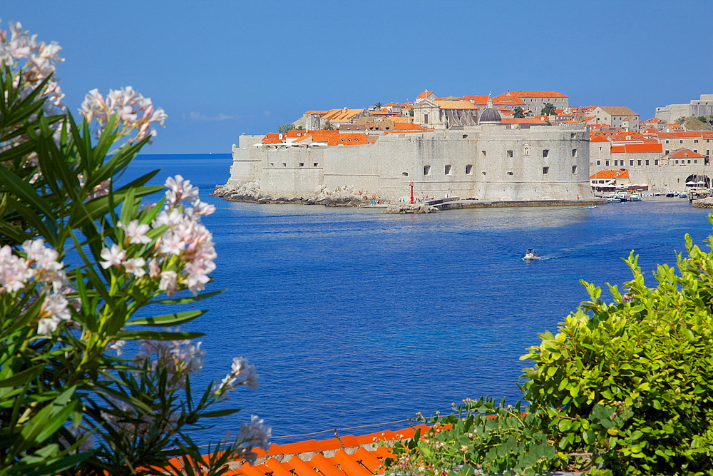 View of Old Town, Cavtat, Dubrovnik Riviera, Dalmatian Coast, Dalmatia, Croatia, Europe