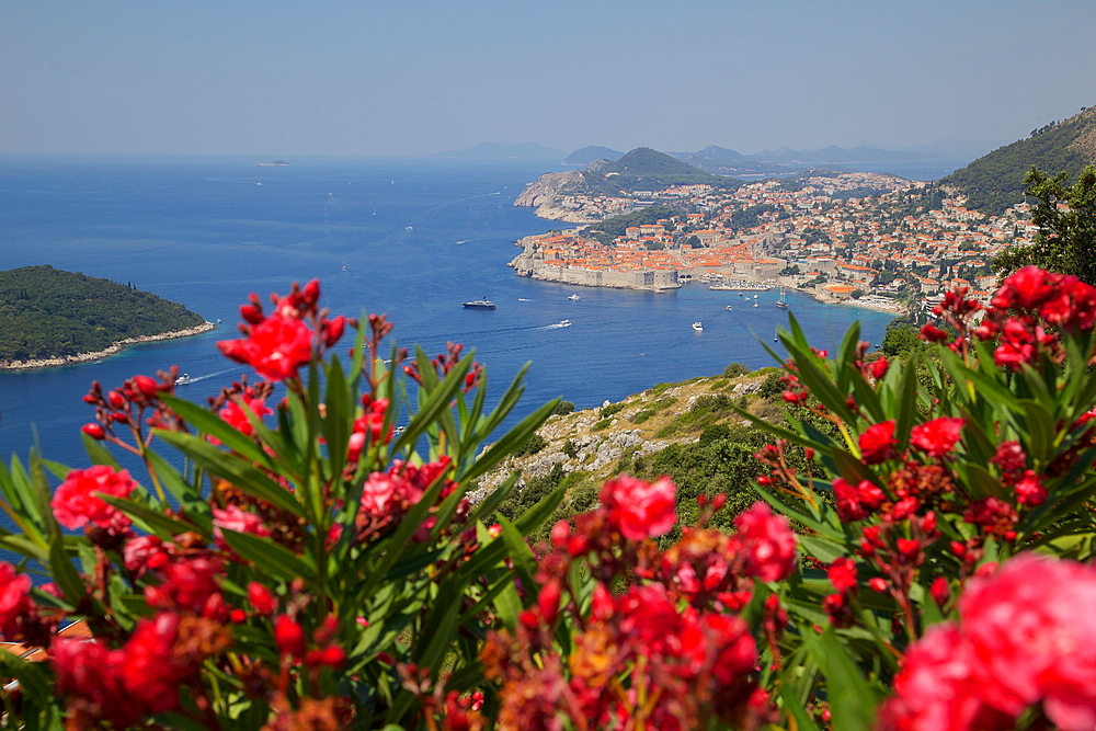 View of Old Town from above town, UNESCO World Heritage Site, Dubrovnik, Dalmatian Coast, Dalmatia, Croatia, Europe