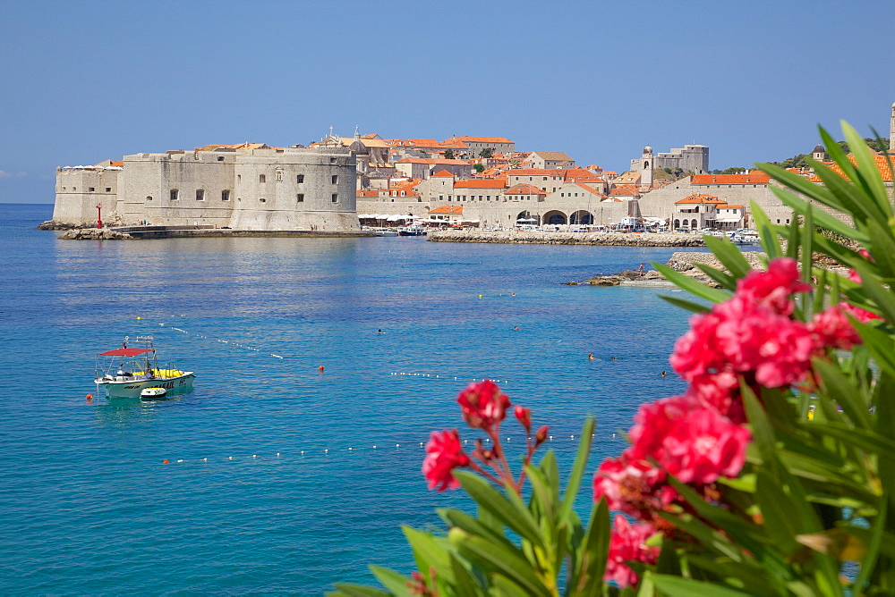 View of Old Town, UNESCO World Heritage Site, Dubrovnik, Dalmatia, Croatia, Europe