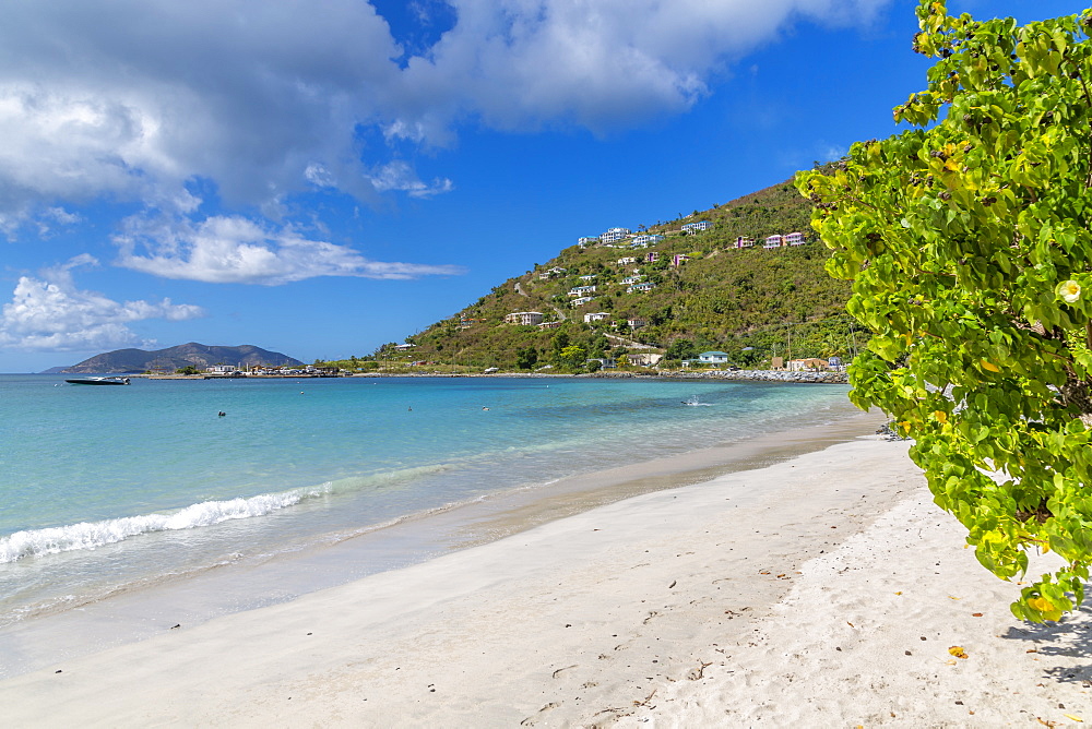 View of Cane Garden Bay Beach, Tortola, British Virgin Islands, West Indies, Caribbean, Central America