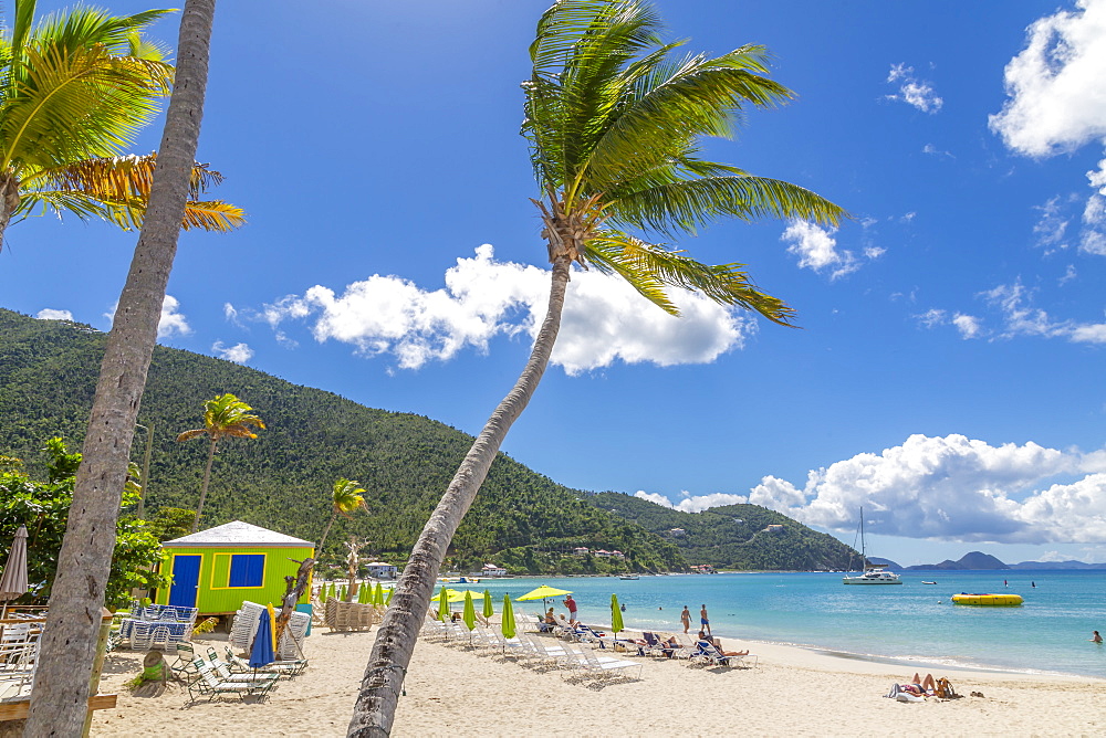 View of Cane Garden Bay Beach, Tortola, British Virgin Islands, West Indies, Caribbean, Central America