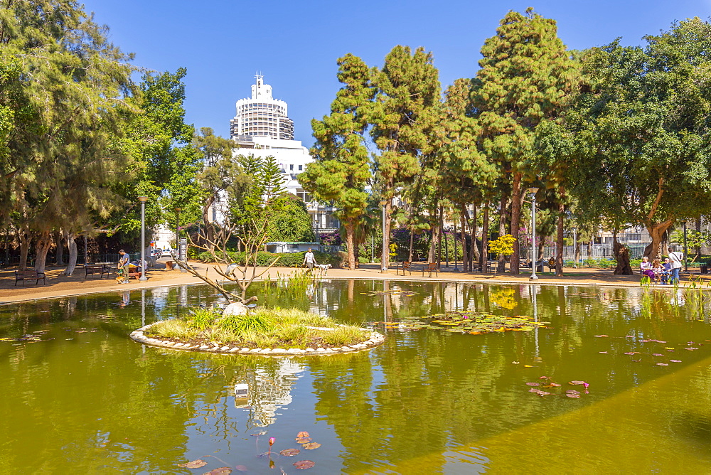 View of reflection in pond in Meir Garden, Tel Aviv, Israel, Middle East