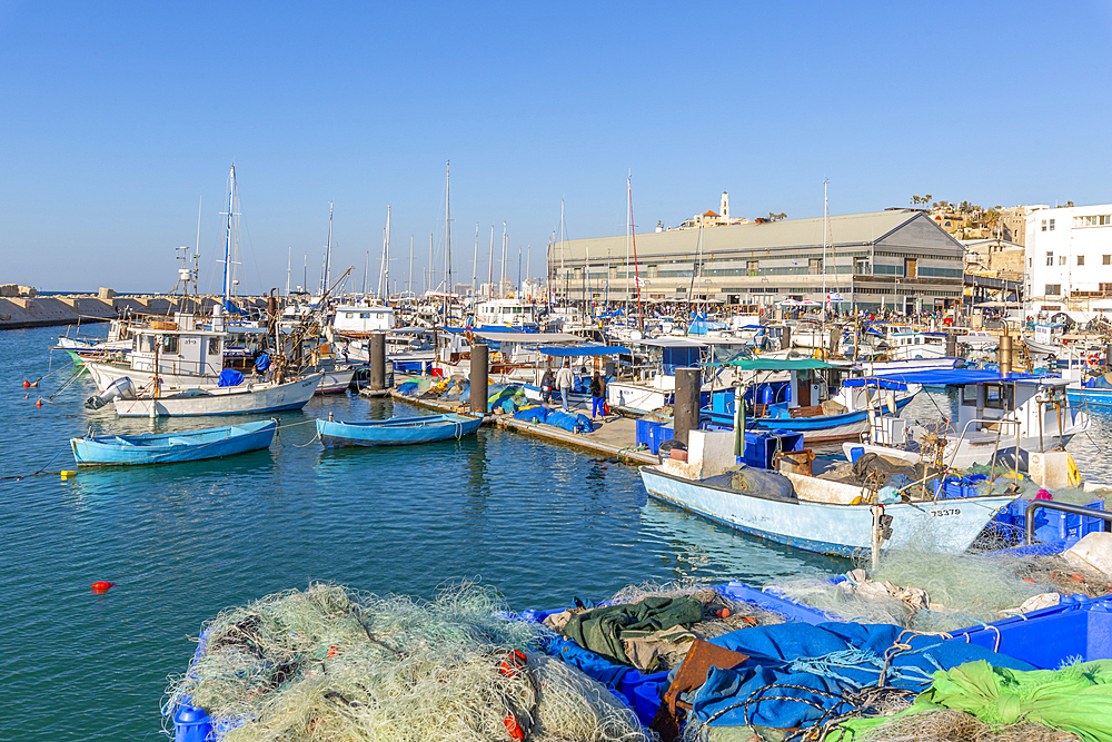 View of boats in the harbour, Jaffa Old Town, Tel Aviv, Israel, Middle East