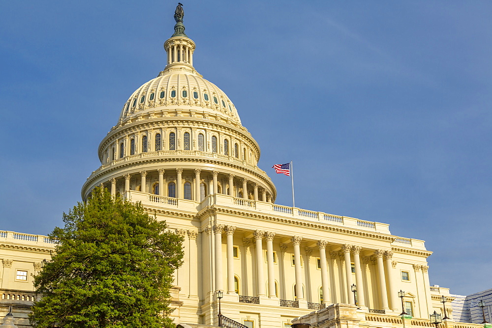 View of the Capitol Building during golden hour, Washington D.C., United States of America, North America