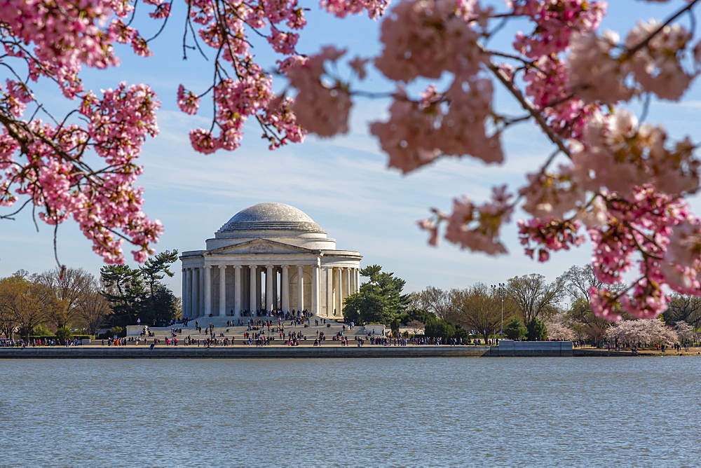 Thomas Jefferson Memorial, Tidal Basin and cherry blossom trees, Washington D.C., United States of America, North America