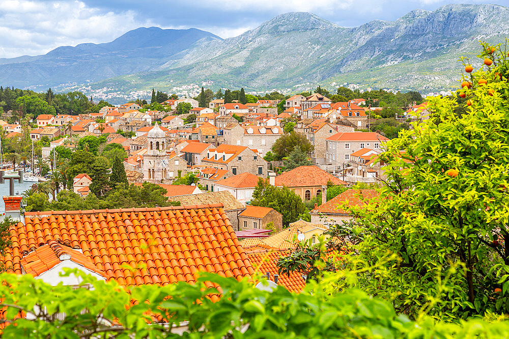 View of town from elevated position, Cavtat on the Adriatic Sea, Cavtat, Dubrovnik Riviera, Croatia, Europe