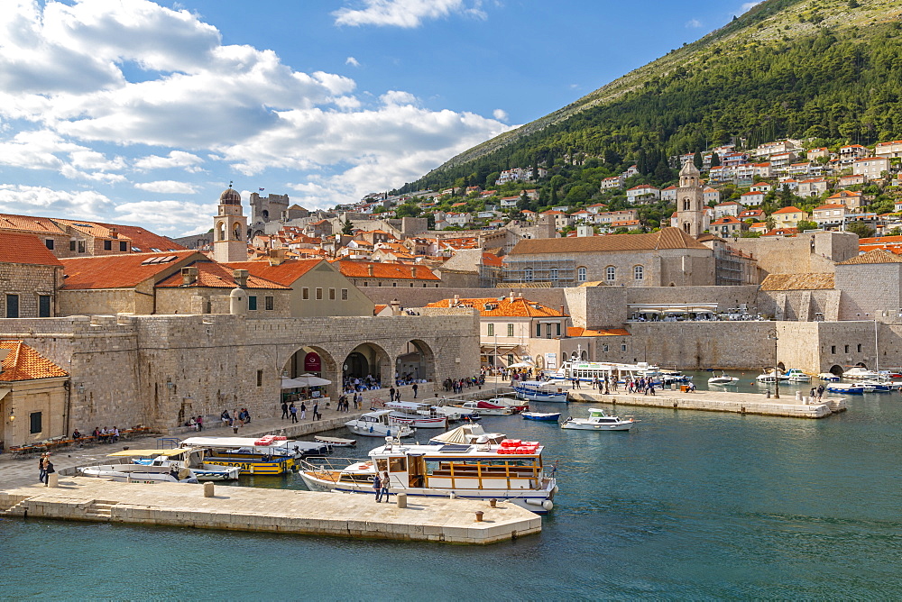 View of boats in harbour of Dubrovnik Old Town from the wall, UNESCO World Heritage Site, Dubrovnik, Dalmatia, Croatia, Europe