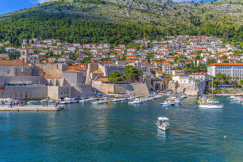 View of boats in harbour of Dubrovnik Old Town from the wall, UNESCO World Heritage Site, Dubrovnik, Dalmatia, Croatia, Europe