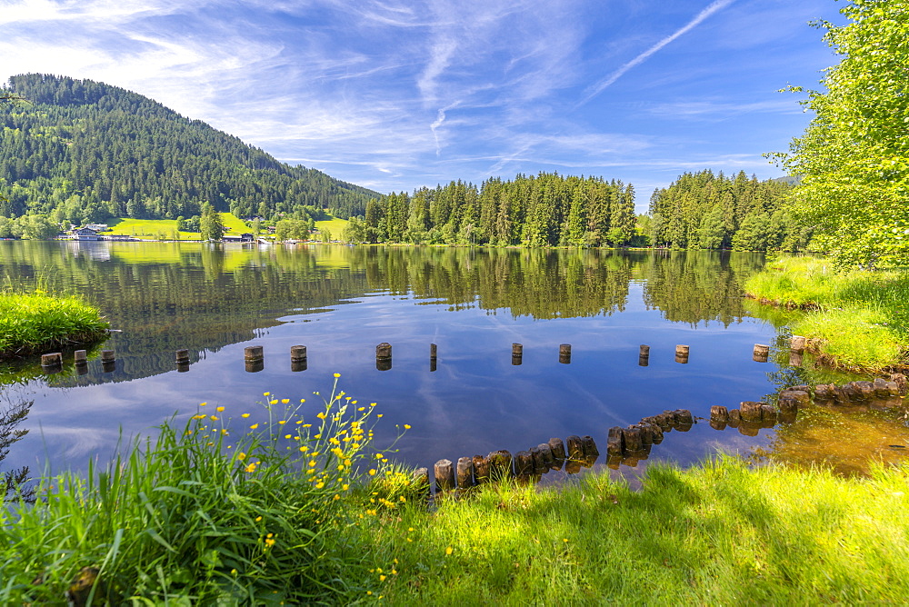 View of reflections in Schwarzsee, Kitzbuhel, Austrian Tyrol, Austria, Europe