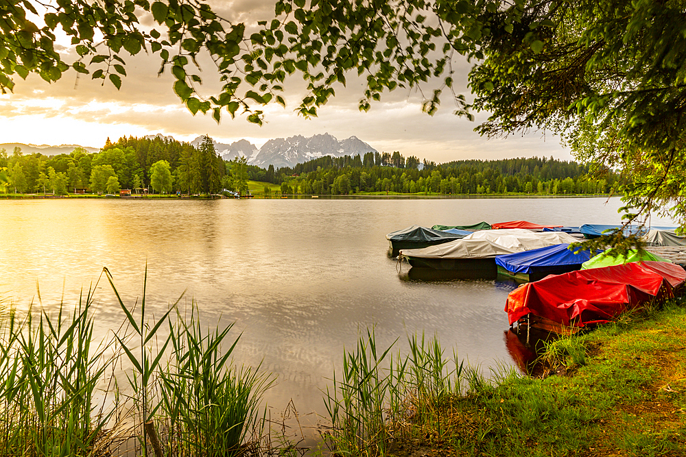 View of the Wilder Kaiser Mountain Range from Schwarzsee near Kitzbuhel, Tyrol, Austria, Europe