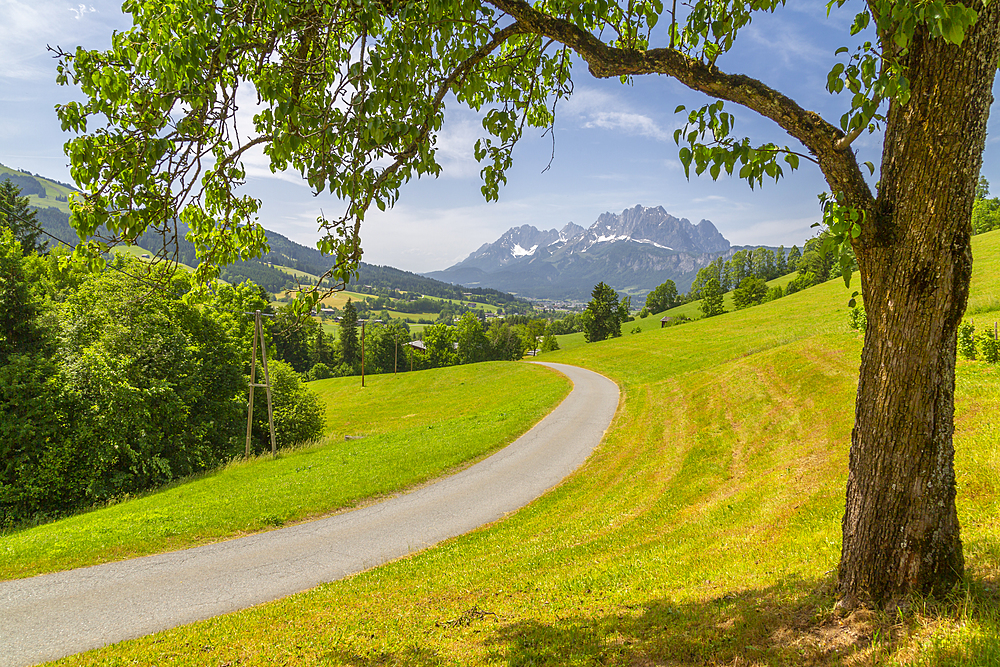 View of country lane and Ellmauer Halt Mountain peak near St. Johann, Austrian Alps, Tyrol, Austria, Europe