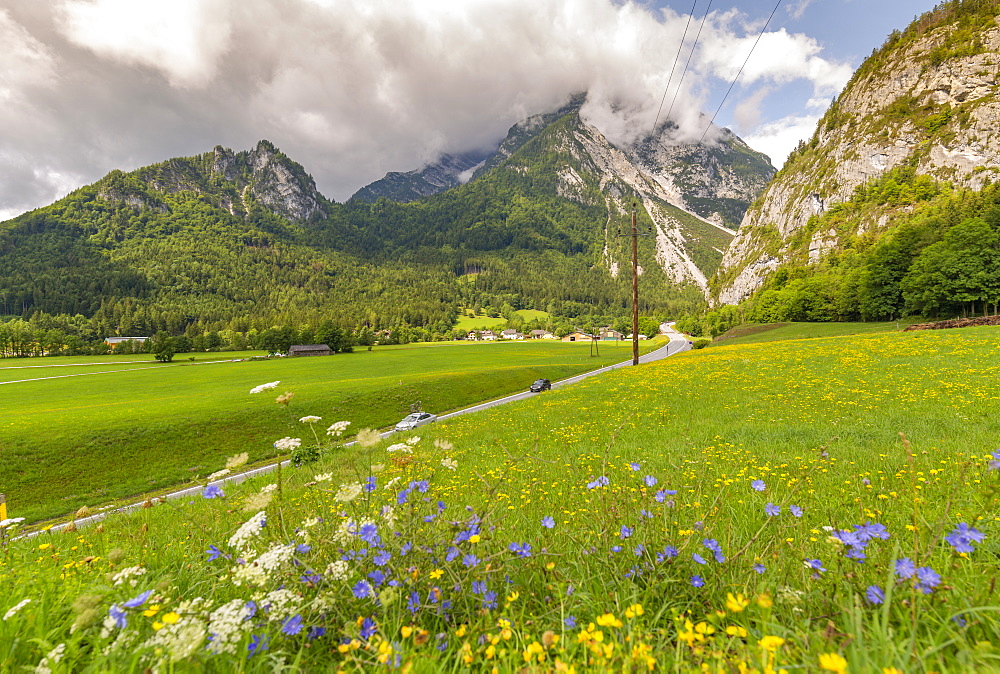 View of road leading into mountains, Unterburg, Styria, Tyrol, Austrian Alps, Austria, Europe