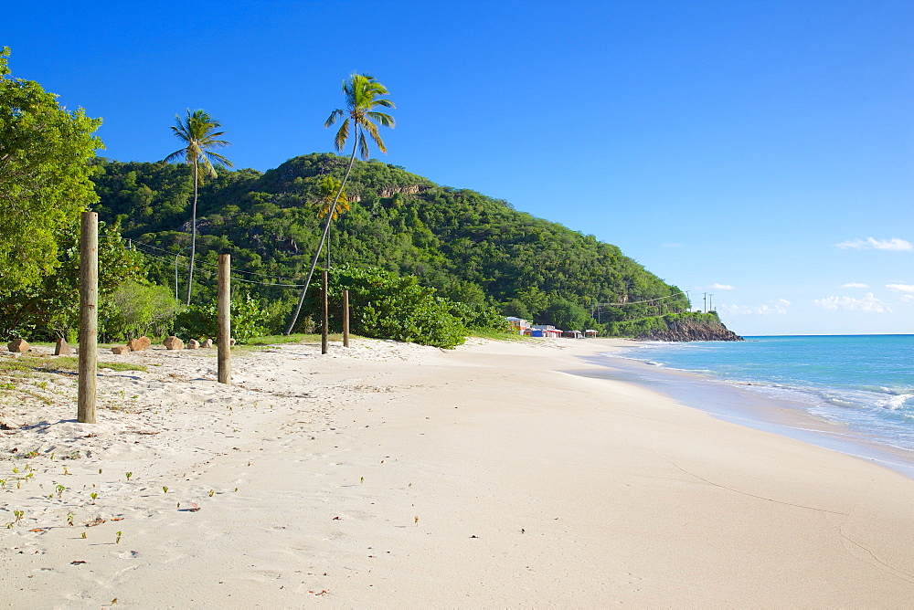 Darkwood Beach, St. Johns, Antigua, Leeward Islands, West Indies, Caribbean, Central America 