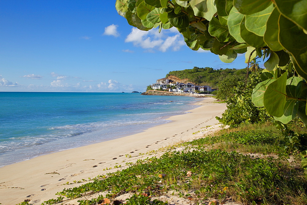 Darkwood Beach, St. Johns, Antigua, Leeward Islands, West Indies, Caribbean, Central America 