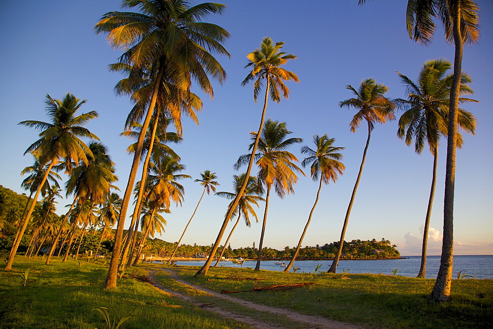 Beach at sunset, Morris Bay, St. Mary, Antigua, Leeward Islands, West Indies, Caribbean, Central America 