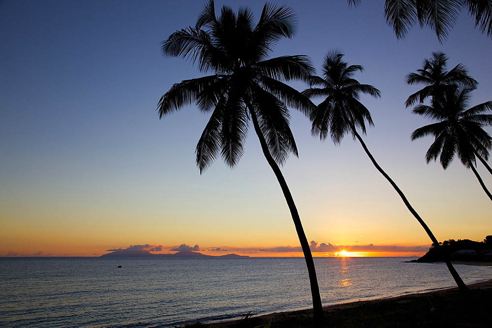 Palm trees and beach at sunset, Morris Bay, St. Mary, Antigua, Leeward Islands, West Indies, Caribbean, Central America 