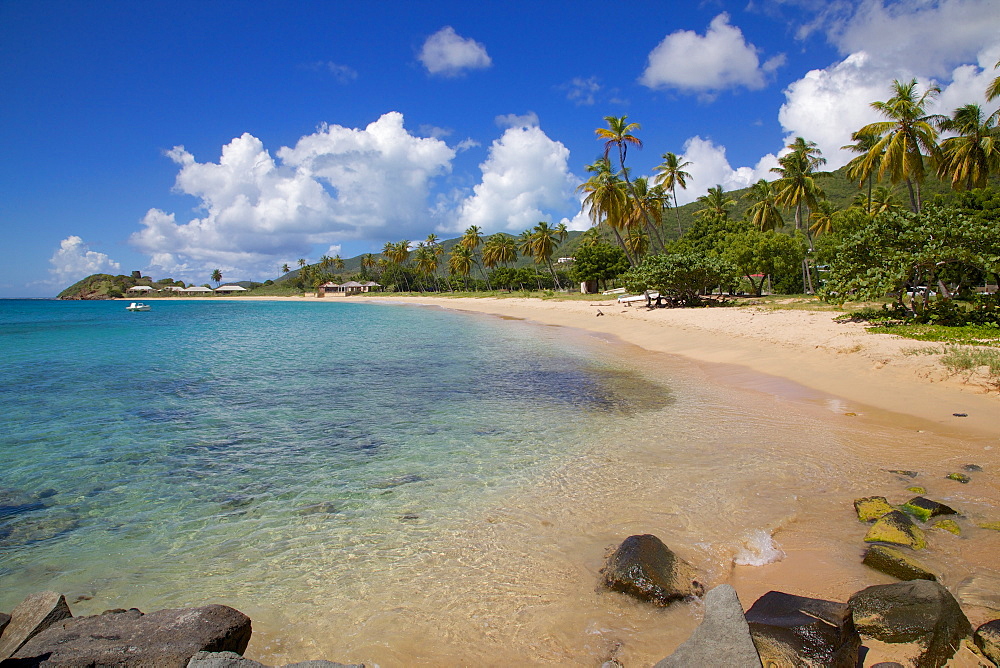 Palm trees and beach, Morris Bay, St. Mary, Antigua, Leeward Islands, West Indies, Caribbean, Central America 