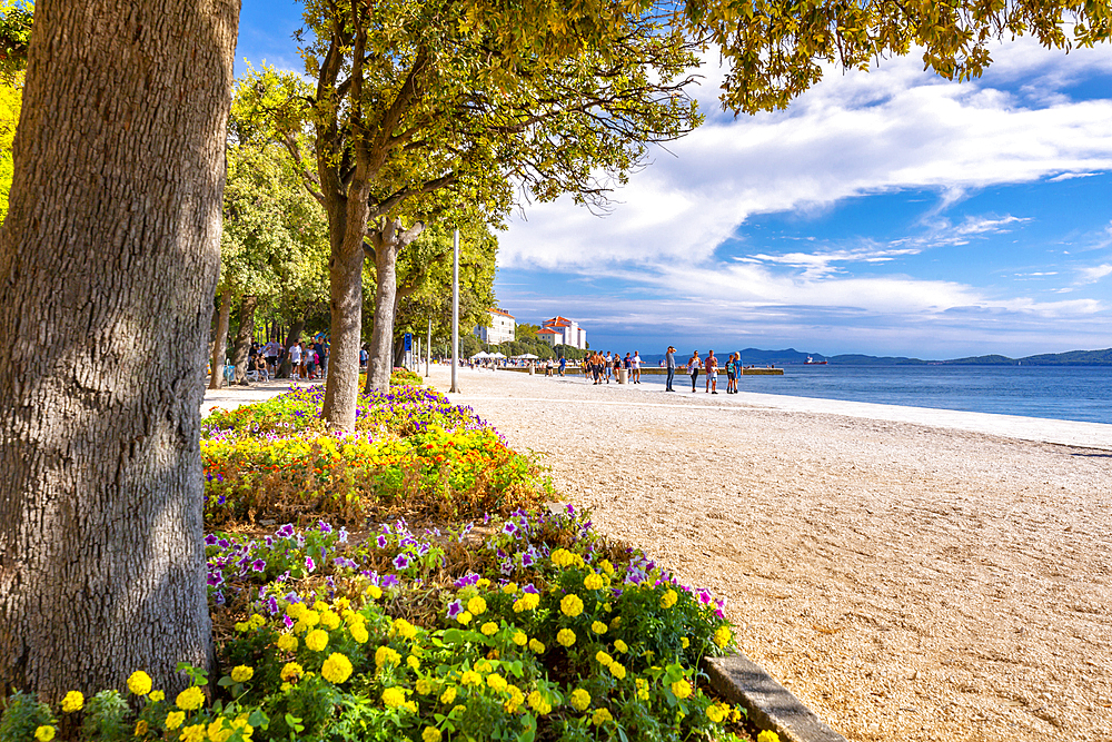 View of promenade, Zadar, Zadar county, Dalmatia region, Croatia, Europe