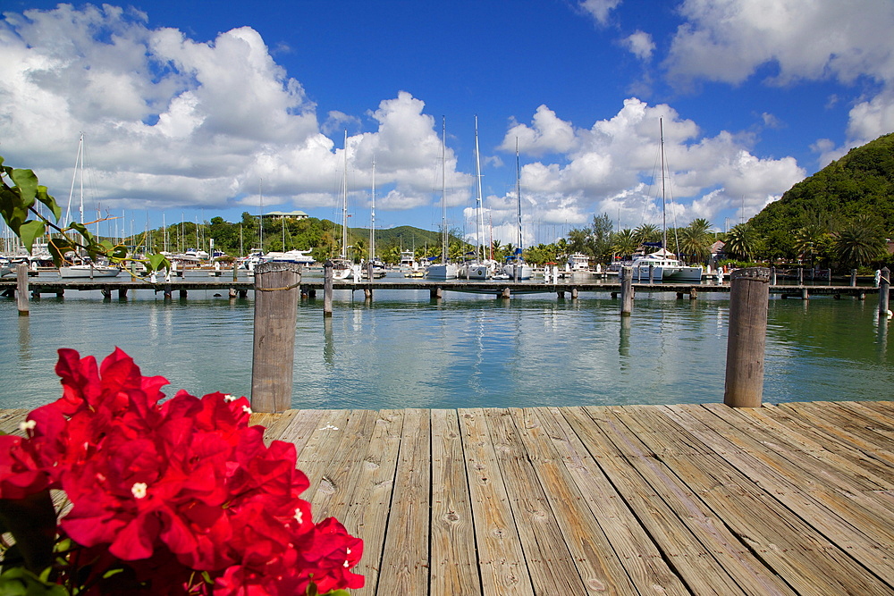 Jolly Harbour, St. Mary, Antigua, Leeward Islands, West Indies, Caribbean, Central America