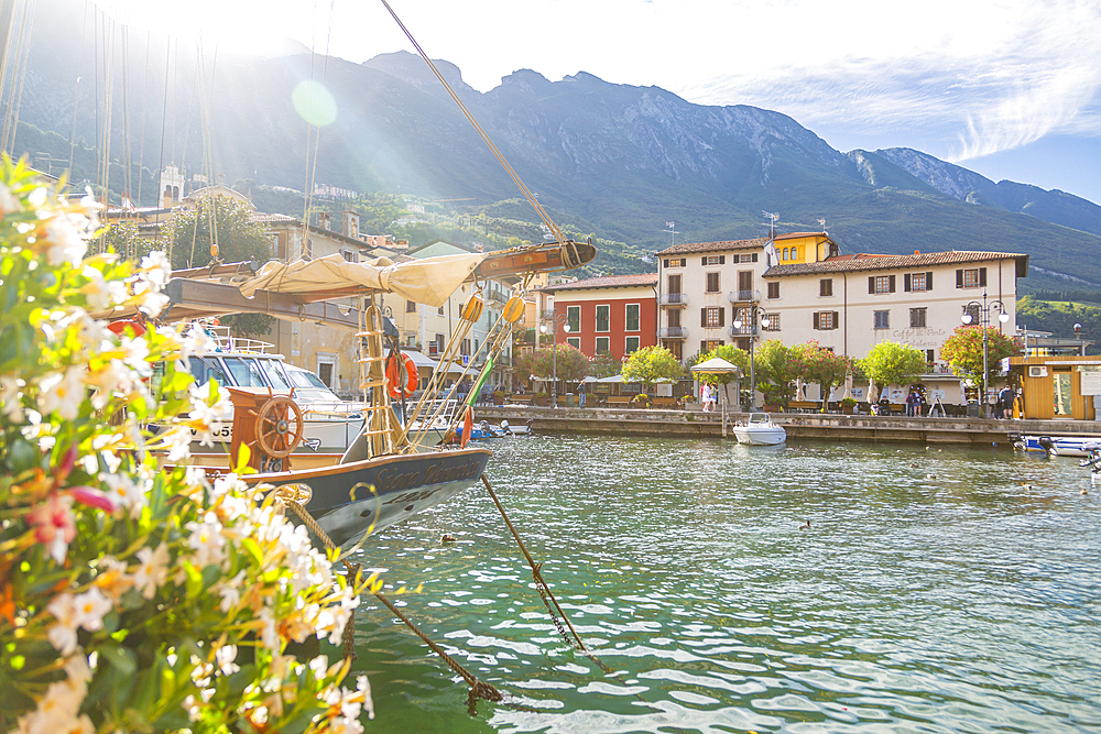 View of harbour and architecture on a sunny day, Malcesine, Province of Verona, Veneto, Italian Lakes, Italy, Europe