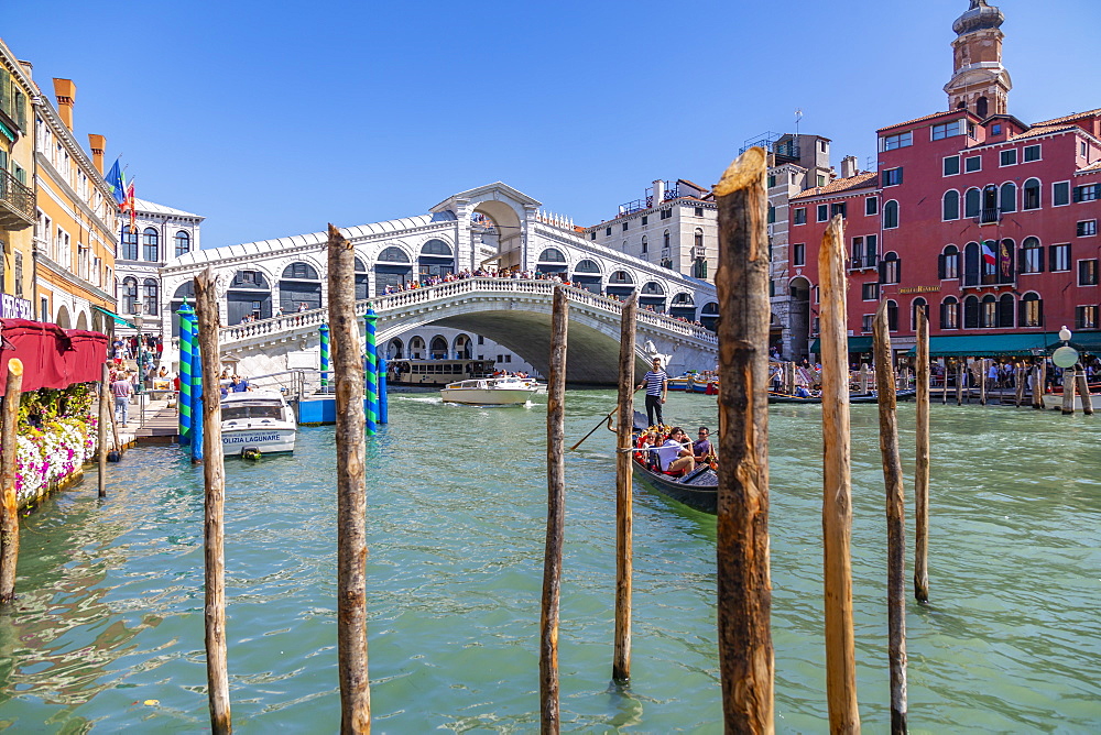 View of Rialto Bridge, Grand Canal and restaurants, Venice, UNESCO World Heritage Site, Veneto, Italy, Europe